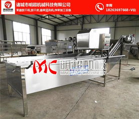 芥菜清洗機選購指南 為何明超機械備受青睞？