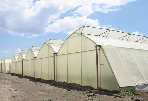 薄膜溫室大棚設計中風壓取值的確定方法