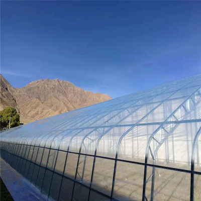 連棟薄膜溫室大棚 現代設施農業值得信賴的堅實伙伴