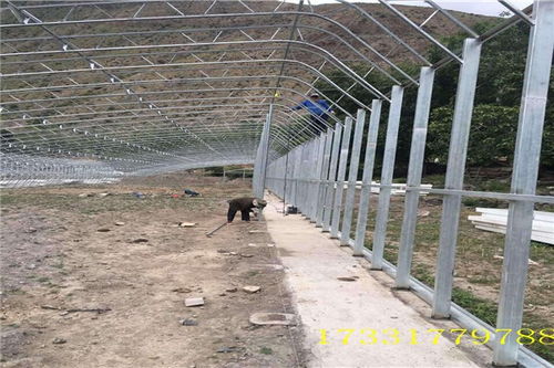 冬暖式雙層膜溫室大棚 栓裝工藝在九原大棚薄膜中的應用