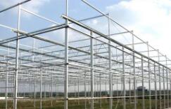 昆明花卉育苗溫室價位深耕市場 大棚薄膜的成本考量與技術(shù)選型